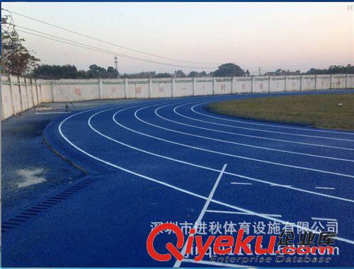 塑膠跑道系列 TPU運動跑道 改性TPU運動場材料 13毫米厚度 {zxj}的技術產(chǎn)品