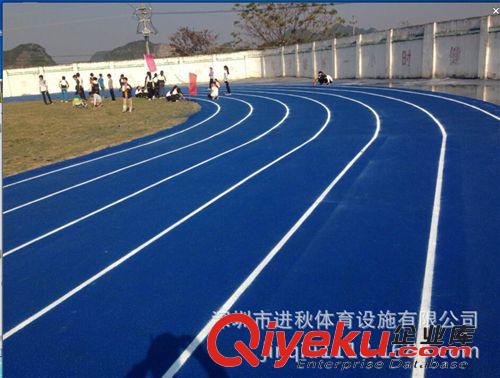 塑膠跑道系列 TPU運動跑道 改性TPU運動場材料 13毫米厚度 {zxj}的技術產(chǎn)品