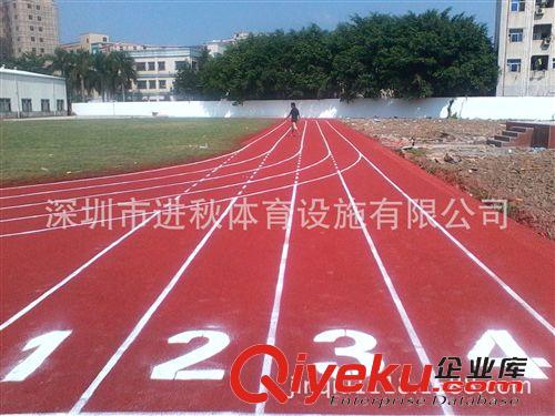 塑膠跑道系列 塑膠跑道工程建設(shè)公司 深圳學(xué)校透氣型塑膠跑道工程案例 跑道材料