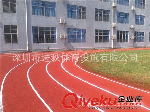 塑膠跑道系列 塑膠跑道工程建設(shè)公司 深圳學(xué)校透氣型塑膠跑道工程案例 跑道材料