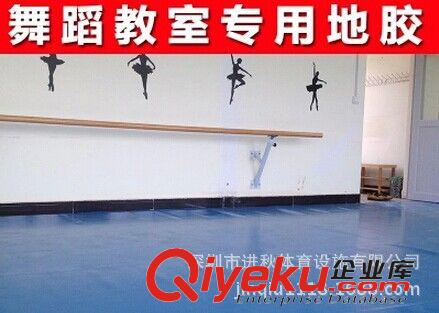舞蹈把桿 舞蹈房專業(yè)地膠 運(yùn)動(dòng)地板地膠 舞蹈地膠 深圳運(yùn)動(dòng)地板卷材原始圖片2