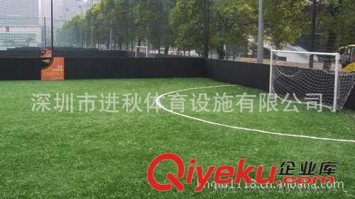 足球門 足球網(wǎng) 五(5)人制足球門 標(biāo)準(zhǔn)制移動式足球門 標(biāo)準(zhǔn)足球門規(guī)格 足球門尺寸原始圖片3