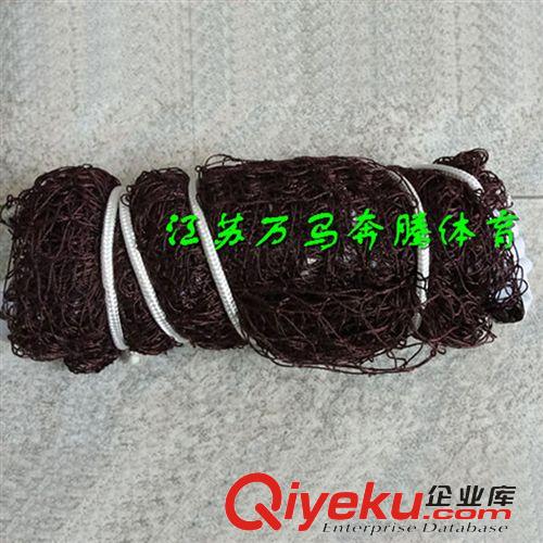 羽毛球用品 廠家直銷供應優(yōu)質(zhì)丙綸羽毛球網(wǎng) 標準比賽專用羽毛球網(wǎng) 量大優(yōu)惠