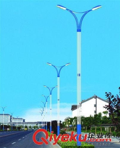 路燈 道路燈 按客戶要求定制各種道路燈 精品路燈 仿古路燈 批發銷售