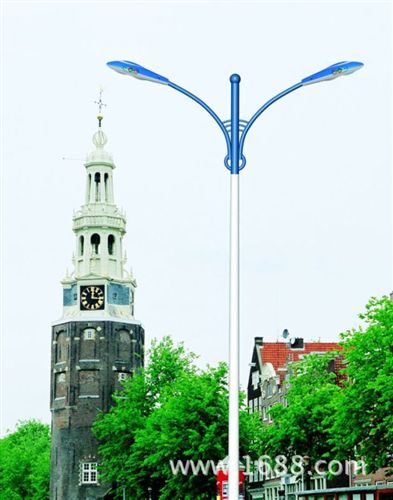 LED路燈 LED street lamp Professional custom-made LED street lamp