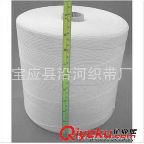 高強(qiáng)滌綸系列 Polyester  漁網(wǎng)線 聚乙烯線漁網(wǎng)線 凱夫拉繩 8寸滌綸長(zhǎng)絲線 工廠長(zhǎng)期供應(yīng)