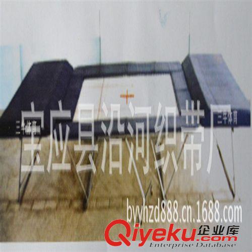其他系列 Others  兒童蹦蹦床 蹦極跳床 休閑蹦蹦跳床 兒童蹦蹦床運動專用跳跳床