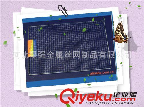 烧烤网 低碳烧烤网供应