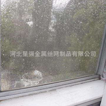 窗紗 供應隱形窗紗 不銹鋼窗紗、鍍鋅窗紗大量批發原始圖片3