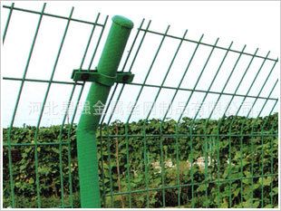 護欄網 廠家大量批發雙邊護欄網原始圖片2