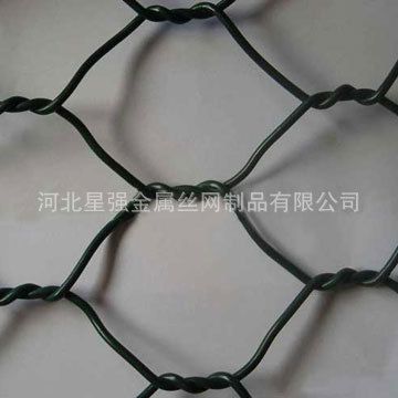六角網 直銷六角網、鍍鋅六角網原始圖片3