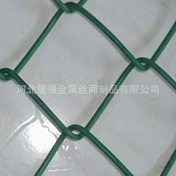 勾花網(wǎng) 供應(yīng)各種規(guī)格勾花網(wǎng) pvc勾花網(wǎng)
