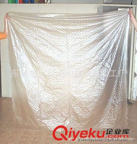 浴簾 外貿原單出口環保pvc掛簾，白色印花門簾
