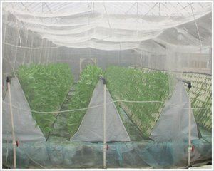防蟲網 【優(yōu)質】防蚊網金屬篩網 高級防蚊紗窗網 304 316材質 不銹鋼網