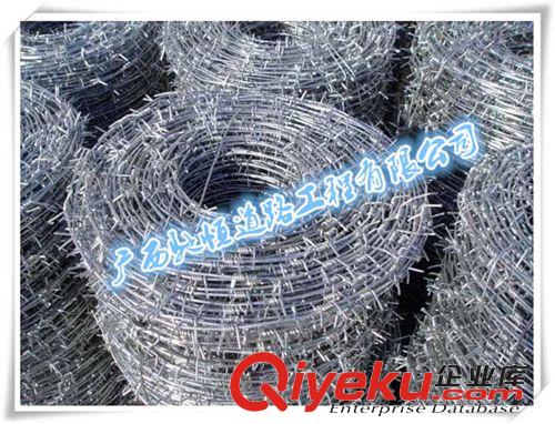 護(hù)欄、護(hù)欄網(wǎng) 安平廠家直銷，勾花護(hù)欄網(wǎng)，籃球場專用護(hù)欄網(wǎng)，可加工定作