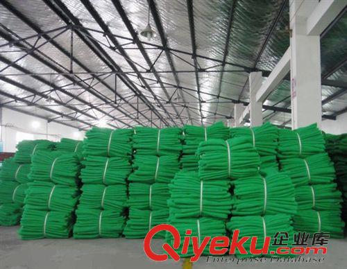 安全網 安平廠家直銷 安全網 建筑安全網原始圖片2