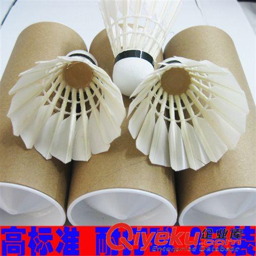 網(wǎng)球拍 zp巨弩網(wǎng)球拍Arbalisttj 初學女士單人網(wǎng)拍男專業(yè)訓練網(wǎng)球拍