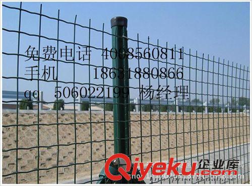 荷蘭網 1.8*30m浸塑荷蘭網，養殖圍欄網，果園護欄網，圈地圍欄 廠價直銷