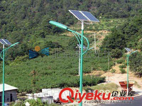 戶外道路燈 道路燈 按客戶要求定制各種道路燈 精品路燈 仿古路燈 批發(fā)銷售原始圖片3