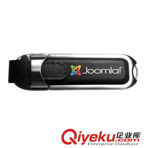 U盤專區 工廠直銷 商務會議廣告禮品定制 zpU盤 公司logo壓印 絲印 彩印原始圖片2