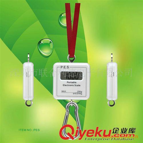 精品推薦 廠家專業供應 機械式個性手提電子鉤秤 {zd0}承重25kg手提秤原始圖片2