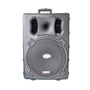 其他音響/設(shè)備 特美聲DP-150A2大功率移動電瓶拉桿音響戶外舞臺演出晨練音箱便攜原始圖片2