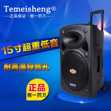 其他音箱 特美聲2305 移動音箱15寸 便攜戶外大功率拉桿插U盤插卡電瓶音響