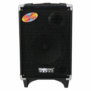 其他音箱 特美聲Q10插卡便攜移動拉桿電瓶音響大功率戶外音箱江浙滬皖包郵原始圖片3