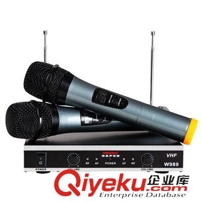 專業(yè)話筒 特美聲Temeisheng W989無線話筒一拖二家用KTV用專業(yè)無線麥克風原始圖片2
