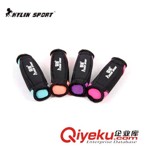搏擊系列 跑步啞鈴手部沙袋女士小啞鈴 沙包ssjf健身器啞鈴1kg2Lb磅