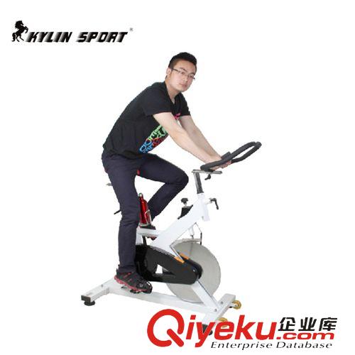 2014.5月新品 gd健身房商用健身車家庭專用豪華動感單車靜音皮帶傳動22kg飛輪原始圖片3