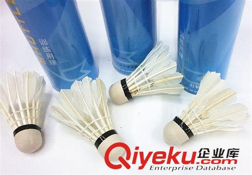 體育用品 廠家直銷 訓練羽毛球 學生及初學者專用羽毛球 體育批發