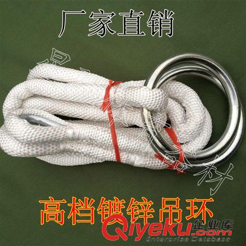 體操用品 廠家直銷 鋼制鍍鋅吊環 健身吊環原始圖片2