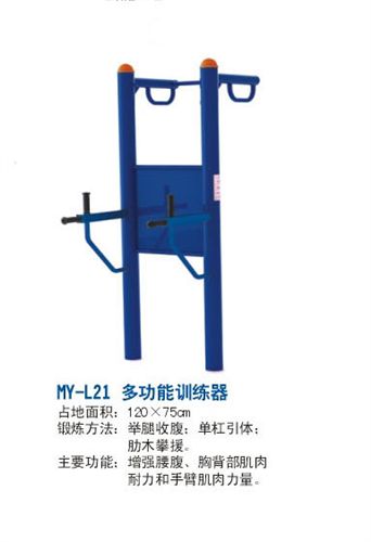 其他健身器材 籃球架