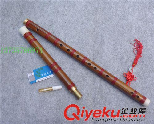吹奏樂器 口琴 tj兒童玩具口琴 蜜蜂牌10孔塑料玩具口琴 江蘇mp