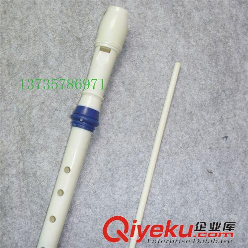 吹奏樂器 豎笛/普及學習型豎笛/蘭圈豎笛6孔。8孔豎笛 帶清潔棒原始圖片2