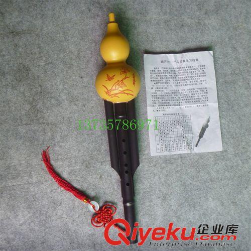 吹奏樂器 天鵝24孔C調(diào)口琴（塑盒裝）復(fù)音口琴 送簡易吹奏表