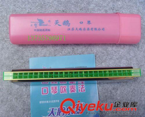 吹奏樂器 天鵝24孔C調(diào)口琴（塑盒裝）復(fù)音口琴 送簡易吹奏表原始圖片2