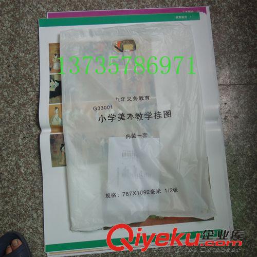 文體用品/打鈴儀 小學(xué)美術(shù)掛圖 初中美術(shù)教學(xué)掛圖 認知掛圖 教育裝備