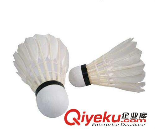 羽毛球 航宇羽毛球 無(wú)標(biāo)C級(jí)訓(xùn)練羽毛球 娛樂(lè)羽毛球 xjb高原始圖片2