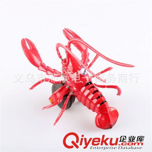 拉線玩具 夏季熱銷拉線烏龜拉線龍蝦拉線螃蟹、拉線甲蟲(chóng)拉線地?cái)傂⊥婢吲l(fā)原始圖片2