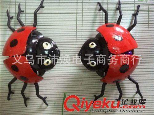 拉線玩具 2014新款玩具 拉線甲蟲(chóng) 仿真甲蟲(chóng)玩具地?cái)傌浽?廠家直銷玩具批發(fā)原始圖片2