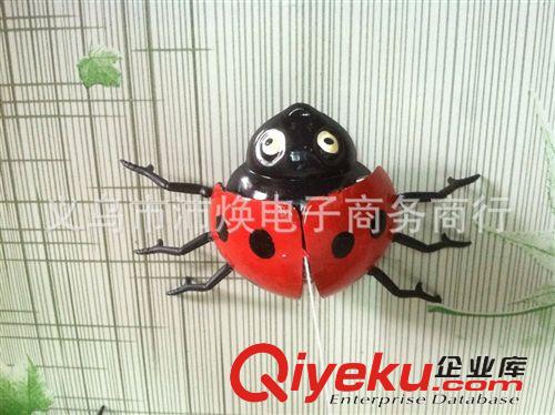 拉線玩具 2014新款玩具 拉線甲蟲(chóng) 仿真甲蟲(chóng)玩具地?cái)傌浽?廠家直銷玩具批發(fā)原始圖片3