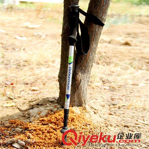 登山杖用品 魯濱遜zp碳素 超輕戶外登山杖拐杖zp手杖便攜 釋然原始圖片2