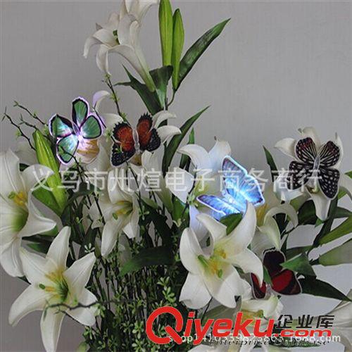 夏天熱賣發(fā)光玩具 廠家直銷優(yōu)質(zhì)便利貼光纖吸盤夜光七彩發(fā)光小蝴蝶 小夜燈 量大從優(yōu)原始圖片2