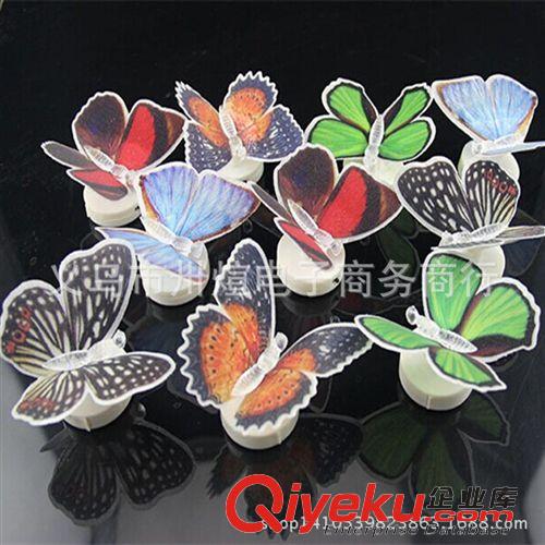 夏天熱賣發(fā)光玩具 廠家直銷優(yōu)質(zhì)便利貼光纖吸盤夜光七彩發(fā)光小蝴蝶 小夜燈 量大從優(yōu)原始圖片3