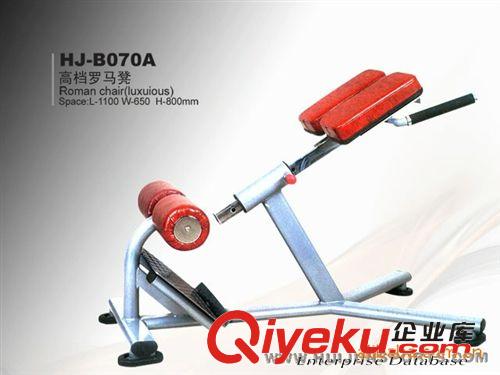 健身器材系列 【會軍 實體店批發(fā)】豪華大飛鳥 健身房專用 大飛鳥 臂力訓練器