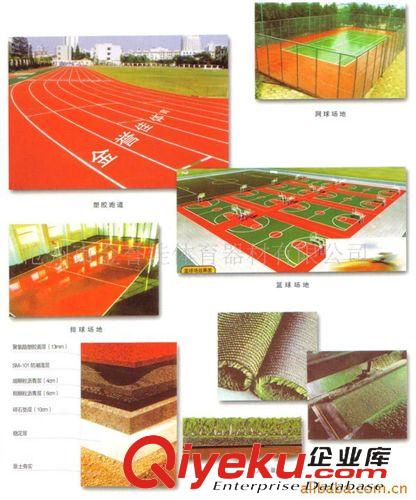 塑膠場地／場地設施、桌椅 供應體育器材/場館坐椅/快餐桌椅
