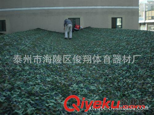 迷彩裝飾網 廠家生產迷彩偽裝網 防衛星航拍迷彩偽裝網 房屋違章偽裝網原始圖片3