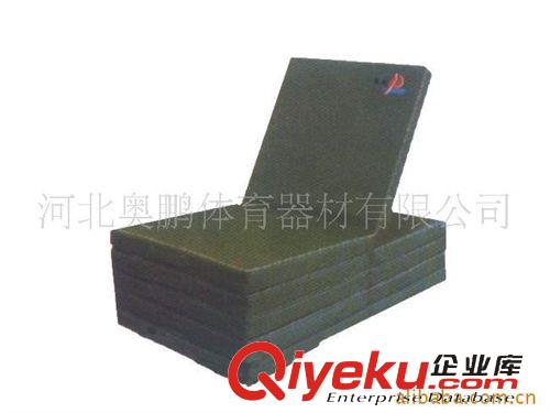 體操墊類 海綿體操墊 野餐墊 加厚訓(xùn)練墊 學(xué)校訓(xùn)練館專用墊子